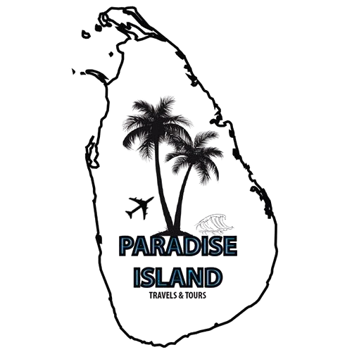 Paradise Island Tours